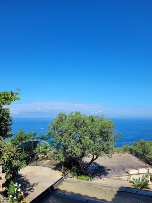 Sun & Relax, Relaxing Location With Seaview Massa Lubrense Exterior foto
